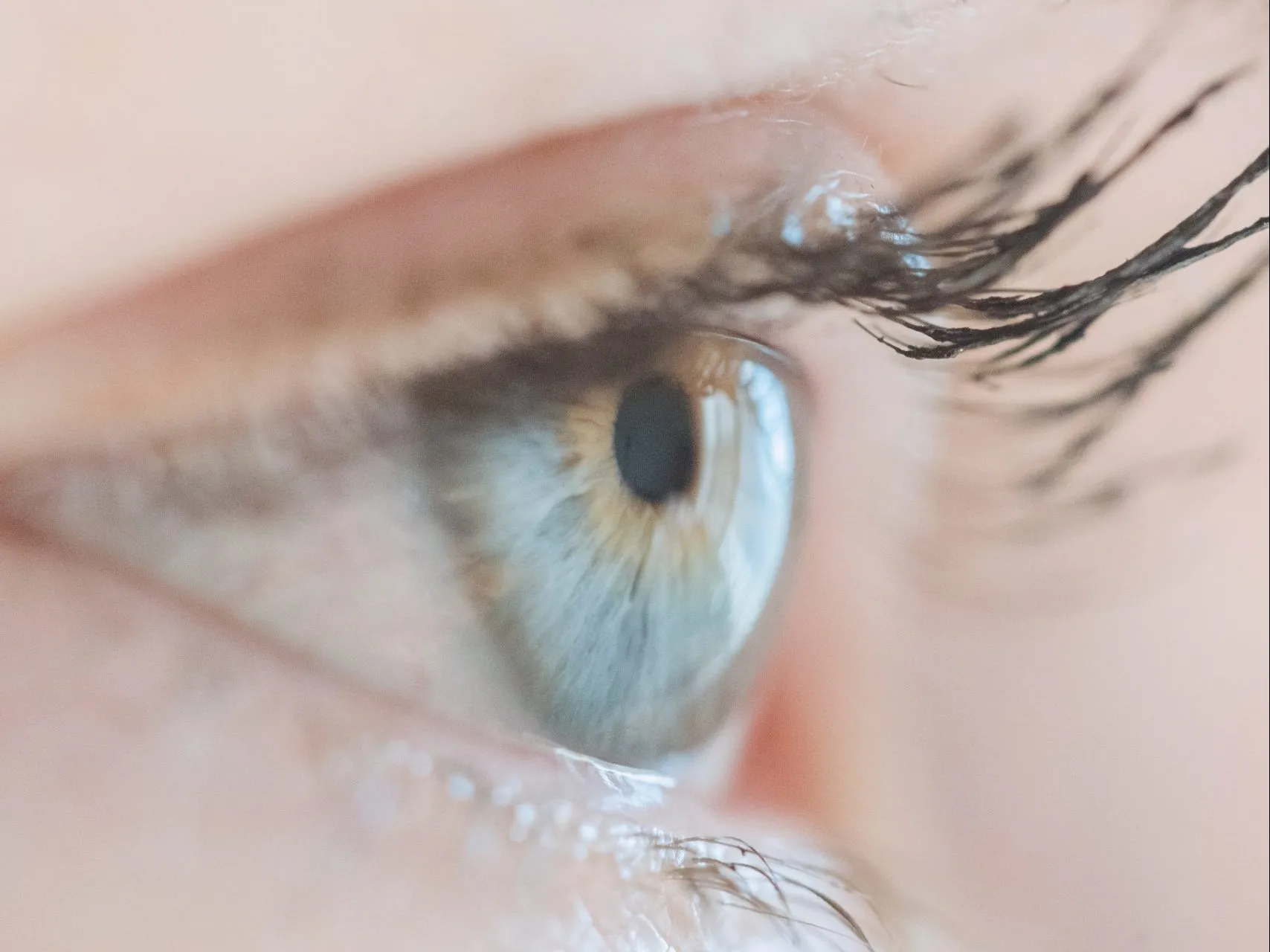 ‘Is de zon onze kankerverwekkende vijand?’.