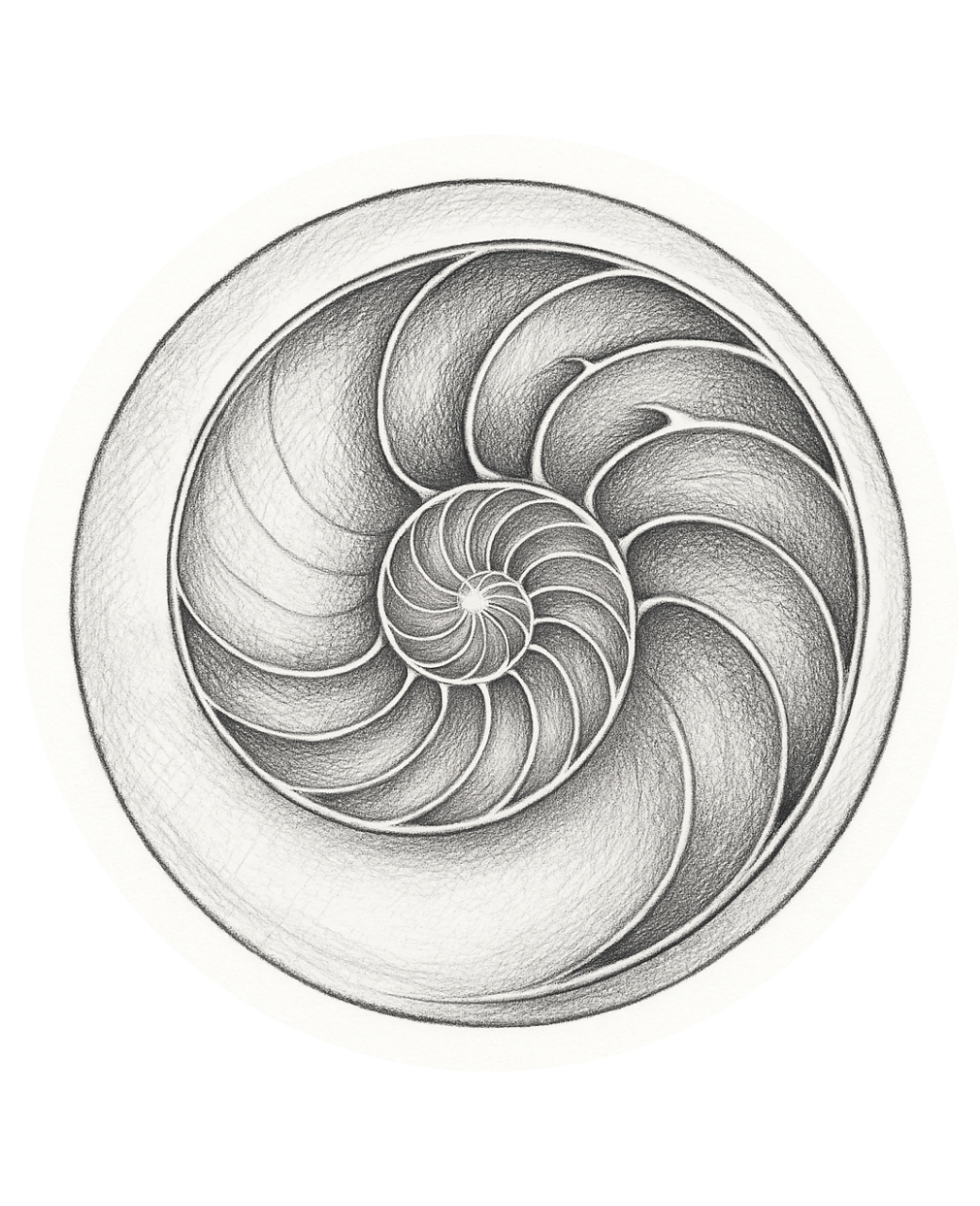 ‘Weet (over)Leven met Module 0.’